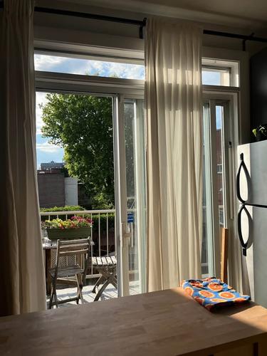 Appartement de 2 chambres à louer à Montreal - Le Plateau-Mont-Royal — photo 4