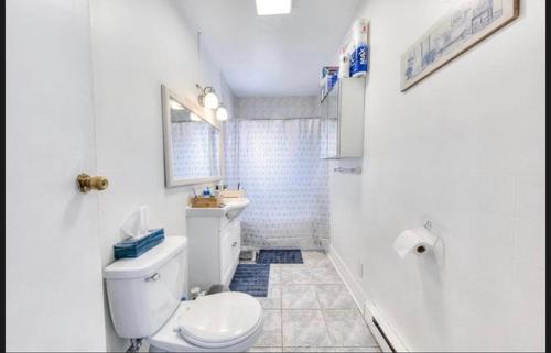 2 bedrooms apartment for rent in Laval — photo 5