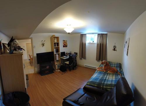 Appartement de 2 chambres à louer à Québec - Sainte-Foy–Sillery–Cap-Rouge — photo 4