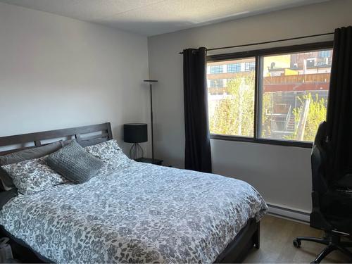 2 bedrooms apartment for rent in Montreal - Le Plateau-Mont-Royal — photo 3