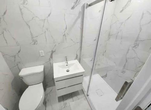 1 bedroom apartment for rent in Montreal - Rosemont–La Petite-Patrie — photo 5