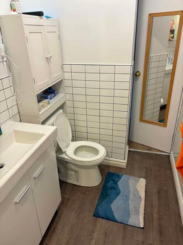 2 bedrooms apartment for rent in Montreal - Rosemont–La Petite-Patrie — photo 8