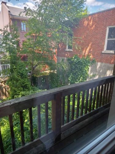Appartement de 2 chambres à louer à Québec - La Cité-Limoilou — photo 20
