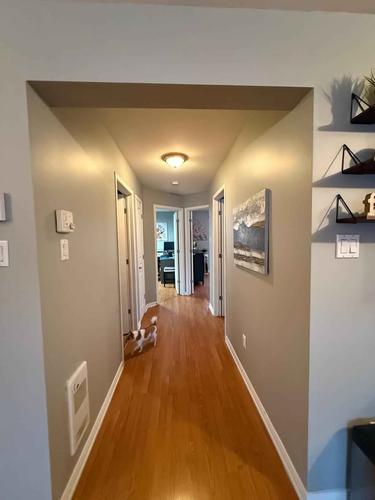 Appartement de 3 chambres à louer à Gatineau — photo 2