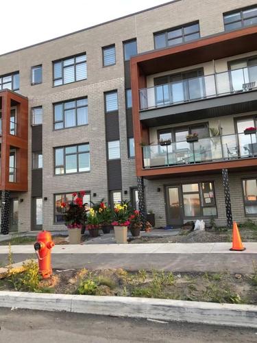 Appartement de 1 chambre à louer à Brossard — photo 10