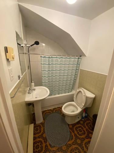 Appartement de 1 chambre à louer à Montreal - Rosemont–La Petite-Patrie — photo 6