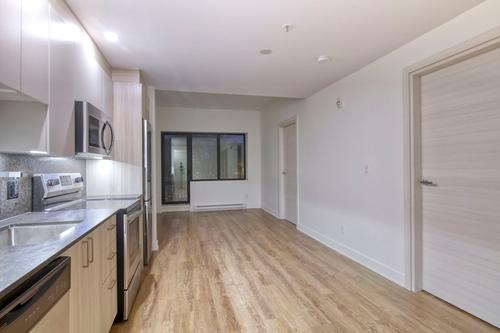 5 bedrooms apartment for rent in Montreal - Le Plateau-Mont-Royal — photo 2
