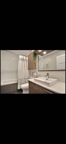 Appartement de 1 chambre à louer à Laval — photo 9