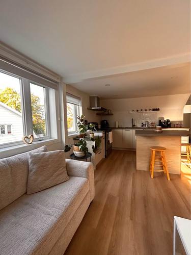 Appartement de 1 chambre à louer à Lévis — photo 4