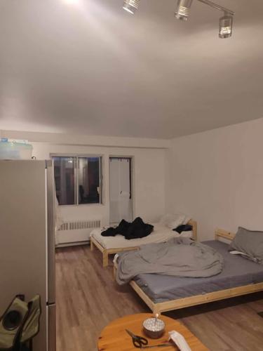 1 bedroom apartment for rent in Montreal - Rosemont–La Petite-Patrie — photo 2