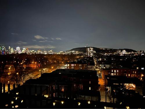 Appartement de 1 chambre à louer à Montreal - Le Plateau-Mont-Royal — photo 17
