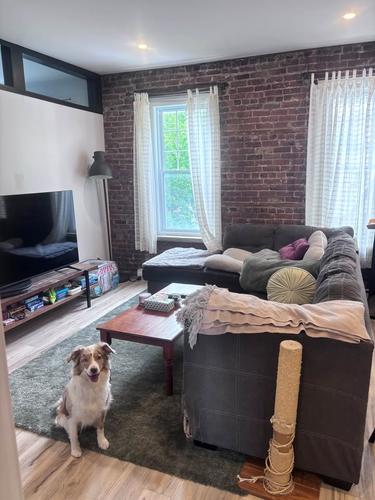 Appartement de 2 chambres à louer à Québec - La Cité-Limoilou — photo 17