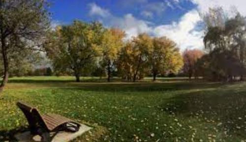 1 bedroom apartment for rent in Montreal - Rosemont–La Petite-Patrie — photo 15