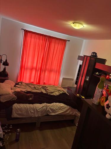 2 bedrooms apartment for rent in Québec - La Cité-Limoilou — photo 2