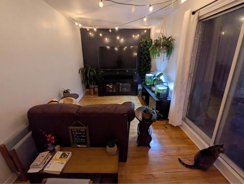Appartement de 1 chambre à louer à Québec - La Cité-Limoilou — photo 3
