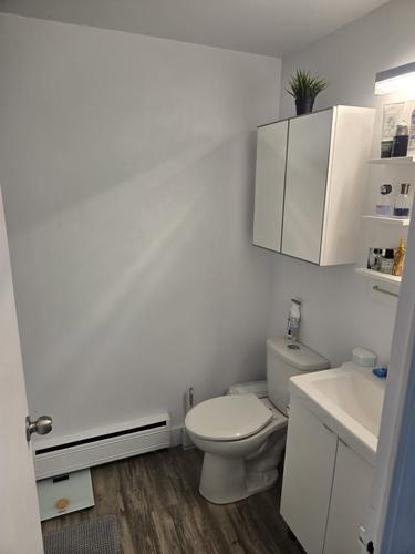 1 bedroom apartment for rent in Montreal - Le Plateau-Mont-Royal — photo 7