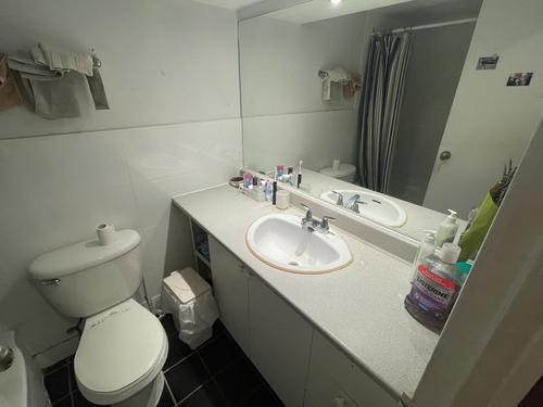 Appartement de 1 chambre à louer à Montreal - Le Plateau-Mont-Royal — photo 3