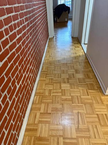 1 bedroom apartment for rent in Montreal - Le Plateau-Mont-Royal — photo 17