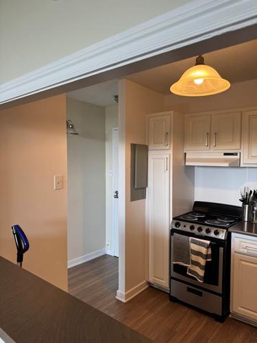 1 bedroom apartment for rent in Gatineau — photo 4