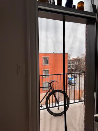Appartement de 1 chambre à louer à Montreal - Le Plateau-Mont-Royal — photo 9