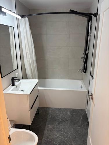 2 bedrooms apartment for rent in Montreal - Le Plateau-Mont-Royal — photo 3