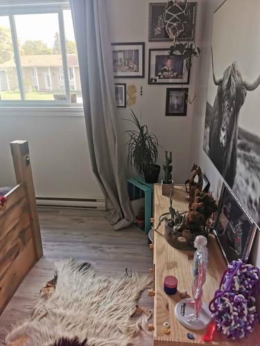 Appartement de 1 chambre à louer à Gatineau — photo 3