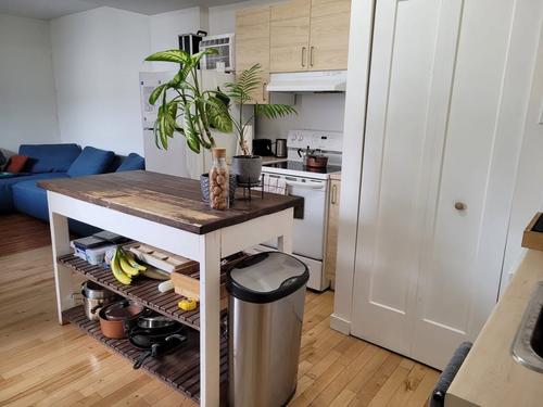1 bedroom apartment for rent in Montreal - Le Plateau-Mont-Royal — photo 5