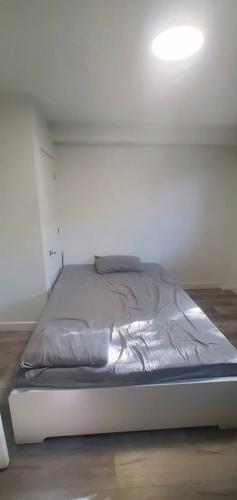 2 bedrooms apartment for rent in Montreal - Rosemont–La Petite-Patrie — photo 9