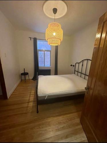 2 bedrooms apartment for rent in Montreal - Le Plateau-Mont-Royal — photo 3