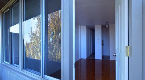 Appartement de 1 chambre à louer à Montreal - Le Plateau-Mont-Royal — photo 2