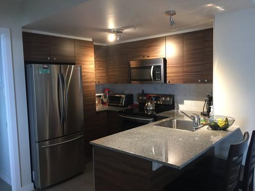 1 bedroom apartment for rent in Montreal - Ahuntsic-Cartierville — photo 3