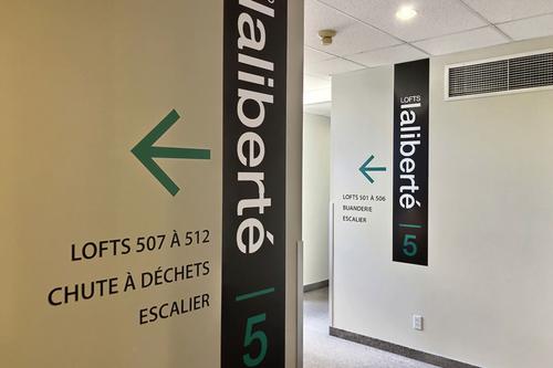 1 bedroom apartment for rent in Québec - La Cité-Limoilou — photo 11