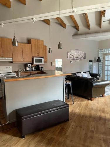 Appartement de 2 chambres à louer à Montreal - Le Plateau-Mont-Royal — photo 2