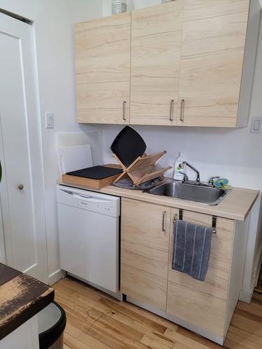 1 bedroom apartment for rent in Montreal - Le Plateau-Mont-Royal — photo 8