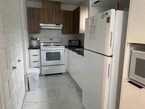 Appartement de 1 chambre à louer à Gatineau — photo 7