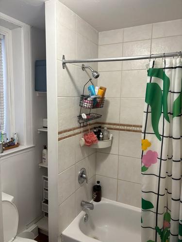 4 bedrooms apartment for rent in Montreal - Le Plateau-Mont-Royal — photo 2