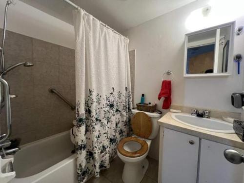 1 bedroom apartment for rent in Longueuil — photo 5