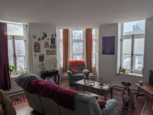 Appartement de 1 chambre à louer à Québec - La Cité-Limoilou — photo 7