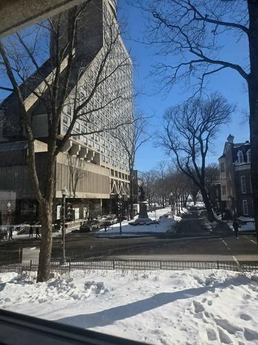 Appartement de 2 chambres à louer à Québec - La Cité-Limoilou — photo 5