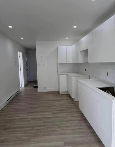 2 bedrooms apartment for rent in Montreal - Le Plateau-Mont-Royal — photo 3