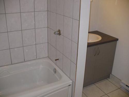 2 bedrooms apartment for rent in Montreal - Rosemont–La Petite-Patrie — photo 8