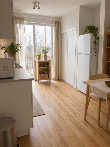1 bedroom apartment for rent in Montreal - Rosemont–La Petite-Patrie — photo 4