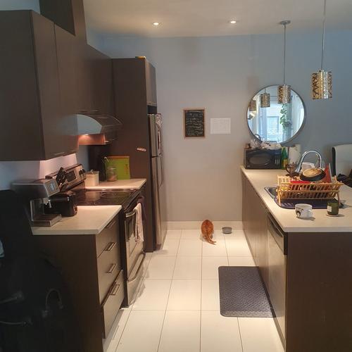 Appartement de 1 chambre à louer à Montreal - Ville-Marie — photo 2