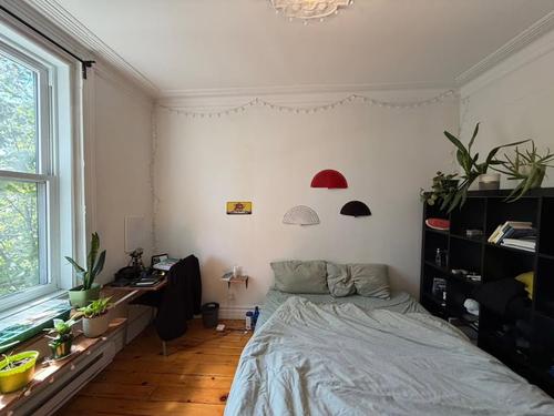 Appartement de 4 chambres à louer à Montreal - Le Plateau-Mont-Royal — photo 3