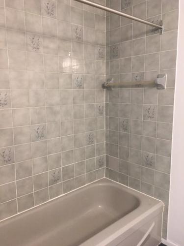 Appartement de 1 chambre à louer à Montreal - Le Plateau-Mont-Royal — photo 9