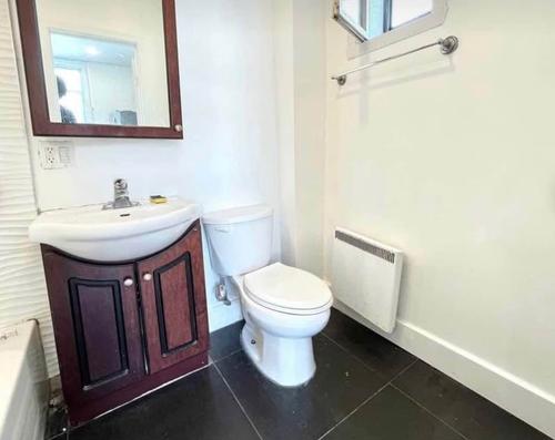 1 bedroom apartment for rent in Montreal - Le Plateau-Mont-Royal — photo 4