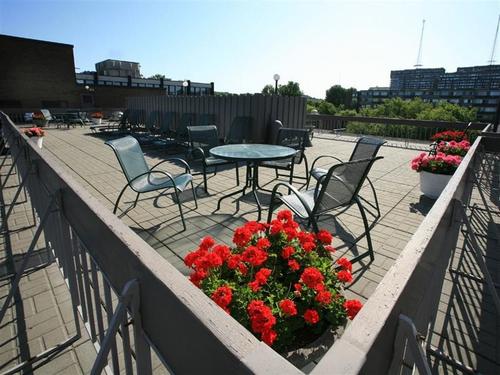 Studio for rent in Montreal - Côte-des-Neiges–Notre-Dame-de-Grâce — photo 13