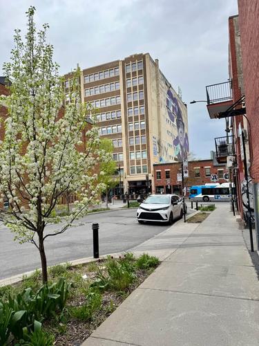 Appartement de 4 chambres à louer à Montreal - Le Plateau-Mont-Royal — photo 4