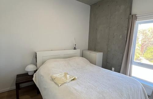 Appartement de 1 chambre à louer à Sherbrooke — photo 6