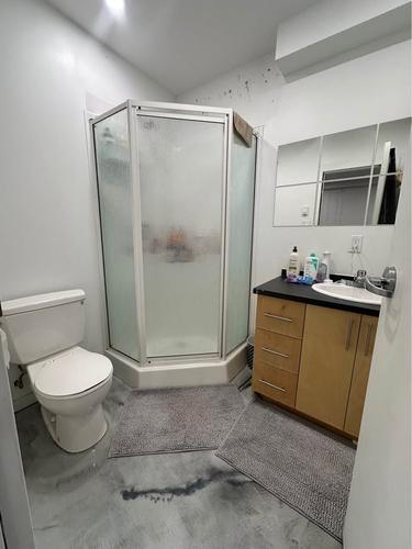 4 bedrooms apartment for rent in Montreal - Ville-Marie — photo 13